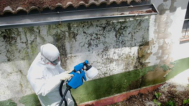 Top rated local Mold Inspection And Testing specialists in Halifax, VA